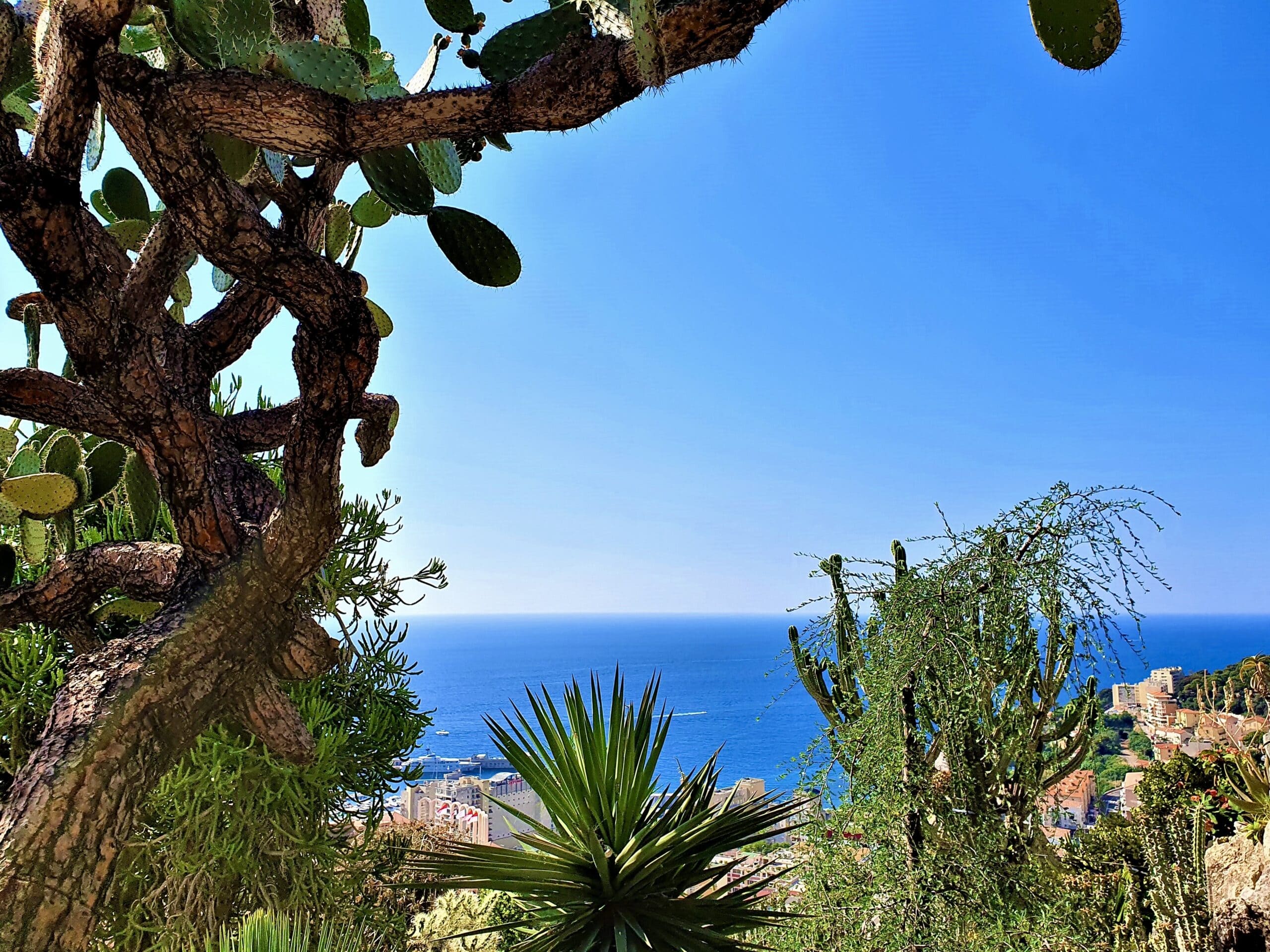 Jardin Exotique neighbourhood in Monaco