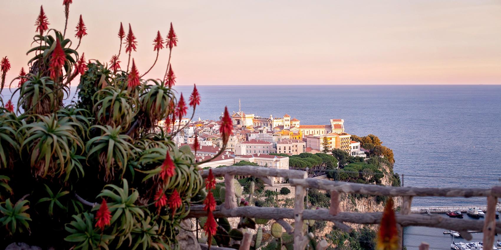 Jardin Exotique real estate in numbers