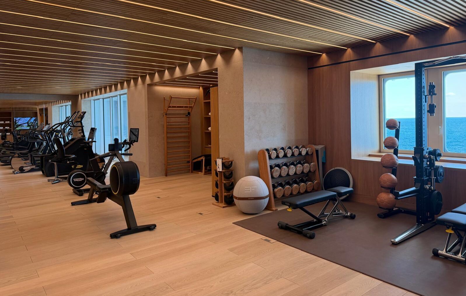 The fitness space with a bunch of blak´ck modern gym equipment in Le Renzo building in Mareterra