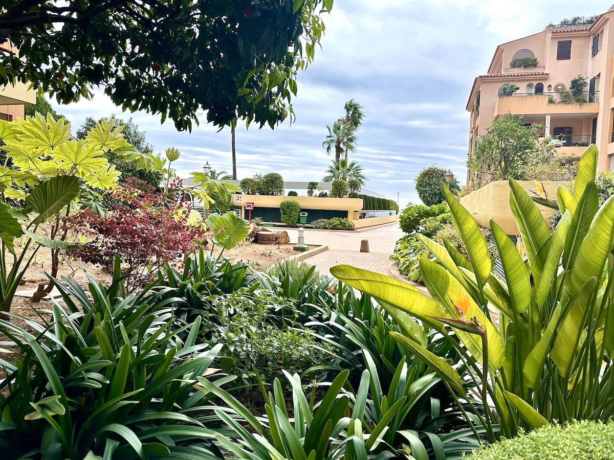 Cyclades garden pathway surrounded by greenery